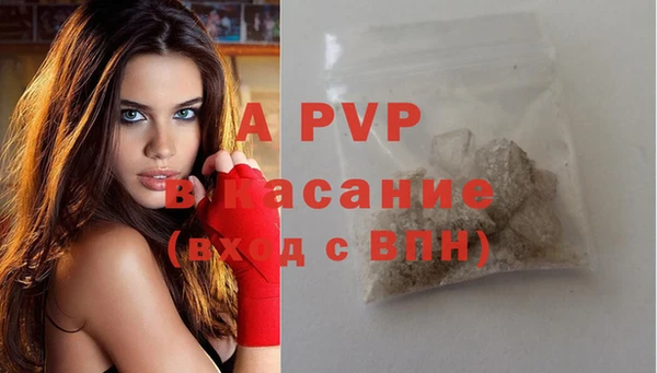 ГАЛЛЮЦИНОГЕННЫЕ ГРИБЫ Горно-Алтайск
