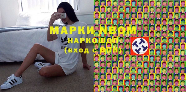 амф Горняк