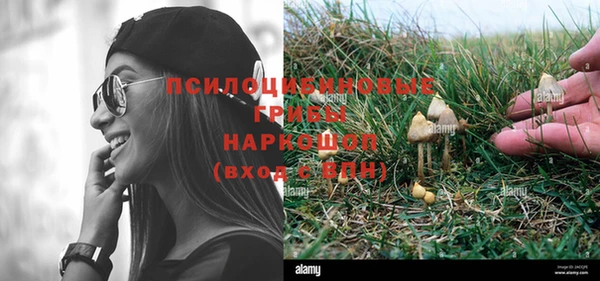 соль ск Гусь-Хрустальный