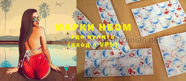 амф Горняк