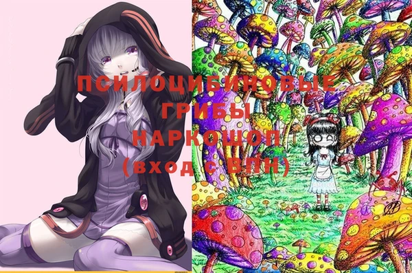 прущая мука Вязники