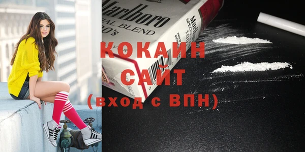 амф Горняк