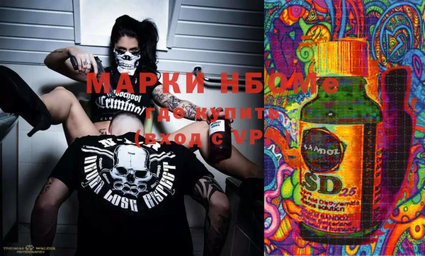 ГАЛЛЮЦИНОГЕННЫЕ ГРИБЫ Горно-Алтайск