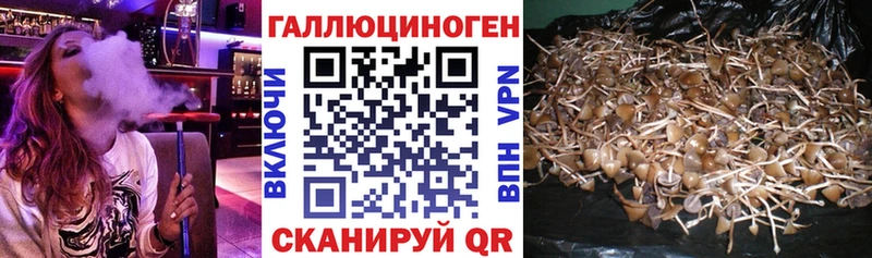 Псилоцибиновые грибы Psilocybe OMG ONION Заволжье